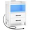 White LED Nightstand Bedside Table with USB Type-C Outlets 2 Drawers & Shelf